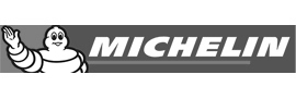 michelin logo